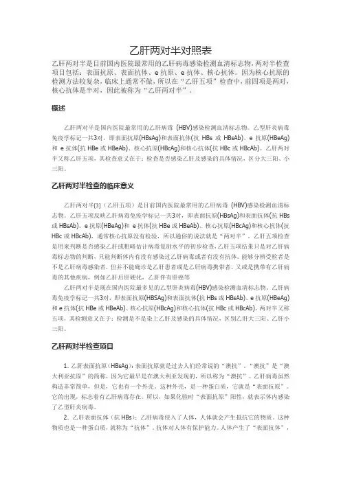 乙肝两对半对照表 2