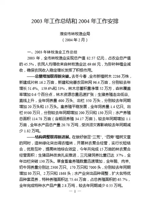 工作总结和工作计划(最后定稿)