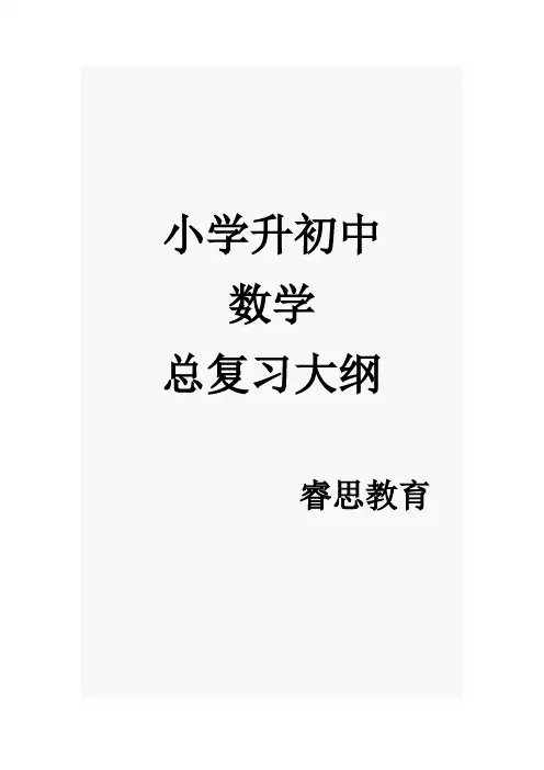 小学升初中数学复习资料