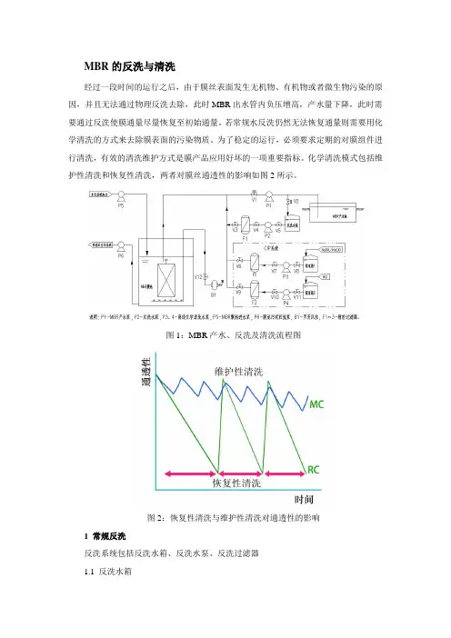 苏科PTFE-MBR膜清洗维护手册