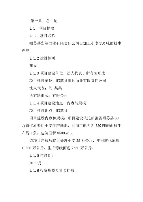 面粉厂可行性报告