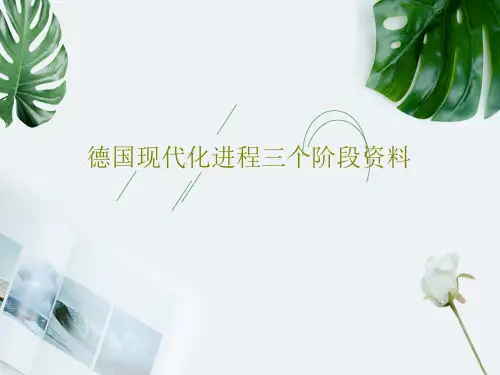 德国现代化进程三个阶段资料共38页
