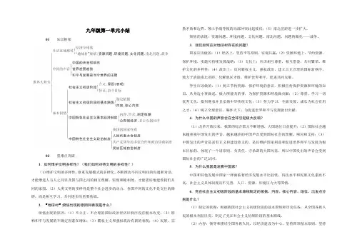九年级思品复习