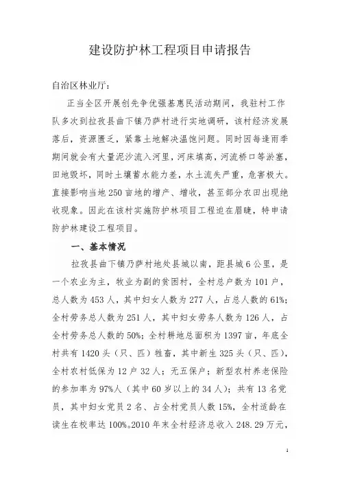 建设防护林项目申请报告