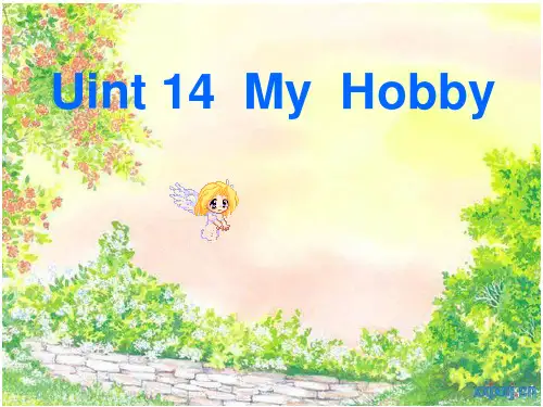 My hobby 教学课件