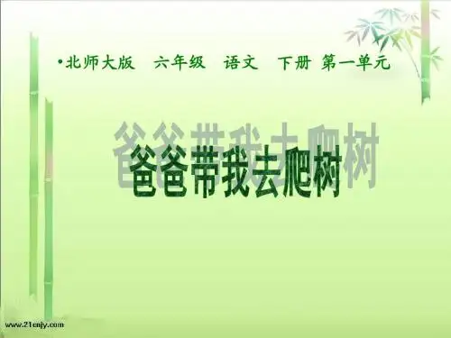 《爸爸带我去爬树》