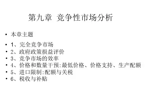 竞争性市场分析