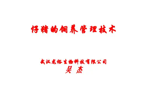 仔猪的饲养管理技术.ppt