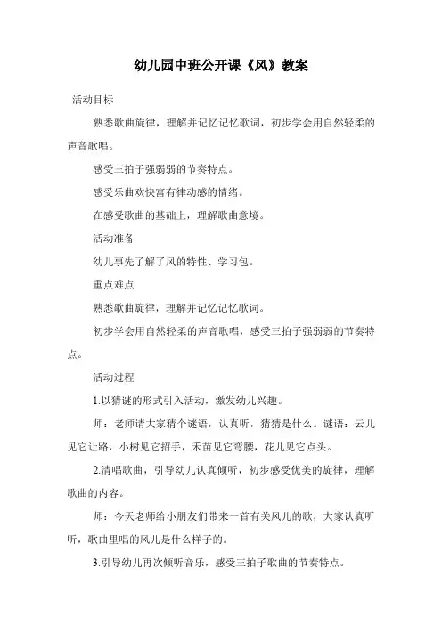 幼儿园中班公开课《风》教案.doc