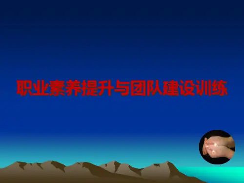 职业素养的提升与团队建设的培训
