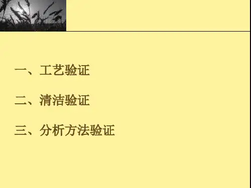工艺验证清洁验证检验方法验证-黄庆