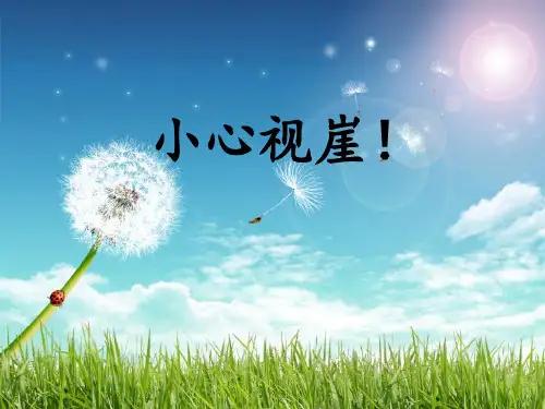 “视崖”实验