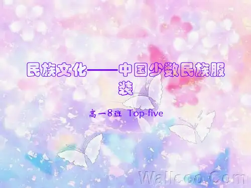 少数民族服装研究