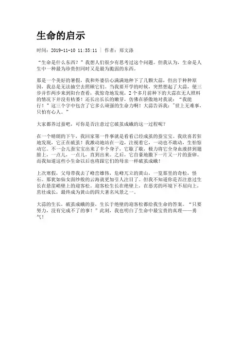 生命的启示