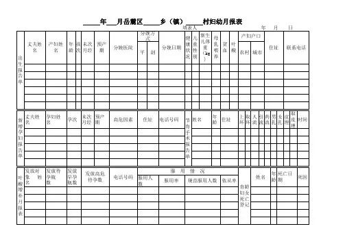 妇幼月报表(村级)