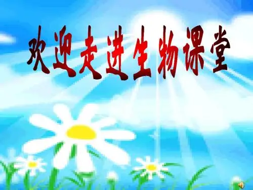 济南版本七年级下册尿液的形成和排出课件