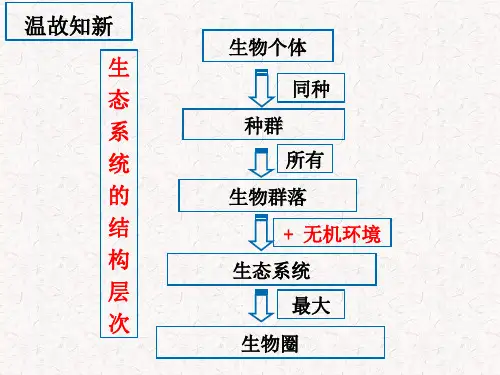 5-1 生态系统的结构