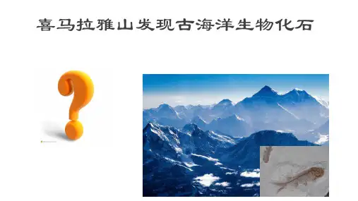 第二节板块构造学说