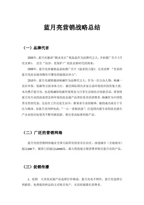 蓝月亮营销战略总结