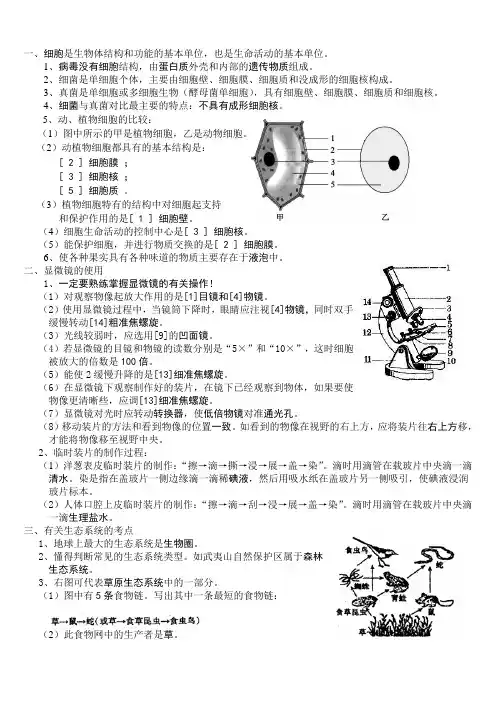 初中生物小中考易错点