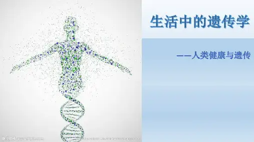生活中的遗传学
