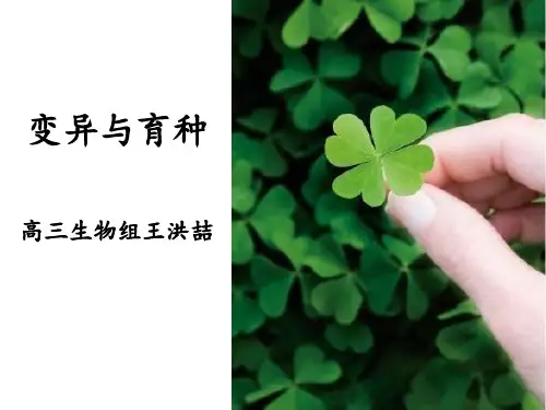 高中生物_变异与育种教学课件设计