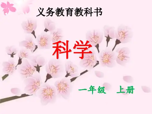 一年级上册科学课件-1.4这是谁的叶(15) l  教科版 (共32张PPT)