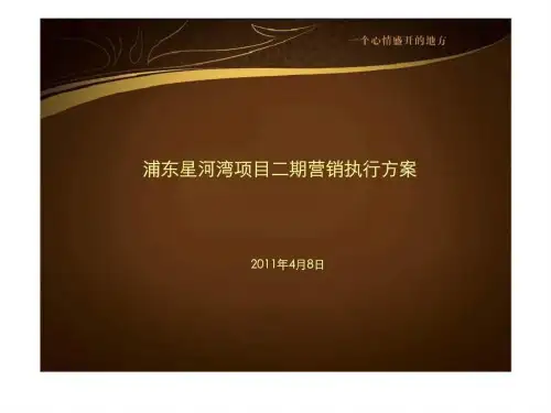 浦东星河湾项目二期营销执行方案(1)