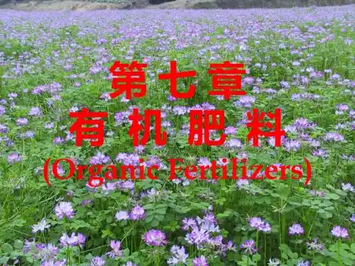 第七章有机肥料