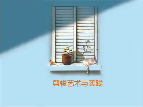 剪辑艺术与实践理论部分