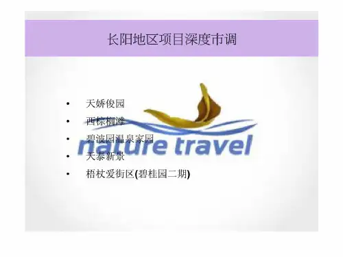 长阳地区项目深度市调
