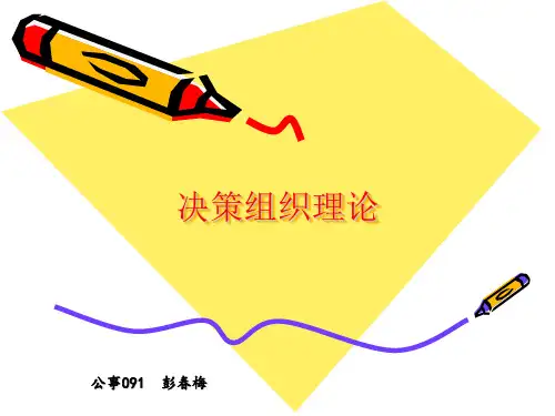 决策组织理论