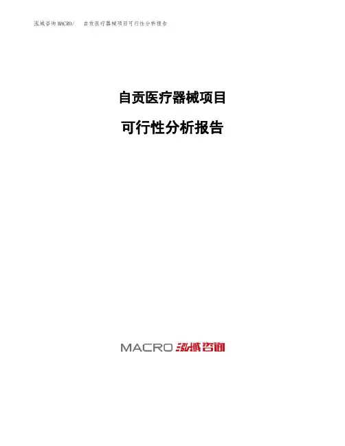 自贡医疗器械项目可行性分析报告