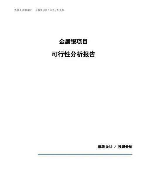 金属银项目可行性分析报告(模板参考范文)