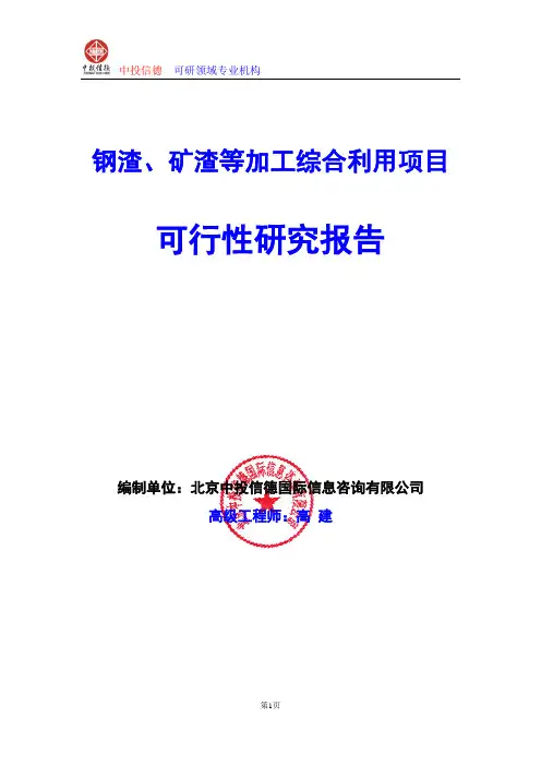 钢渣、矿渣等加工综合利用项目可行性研究报告编写格式及参考(模板word)