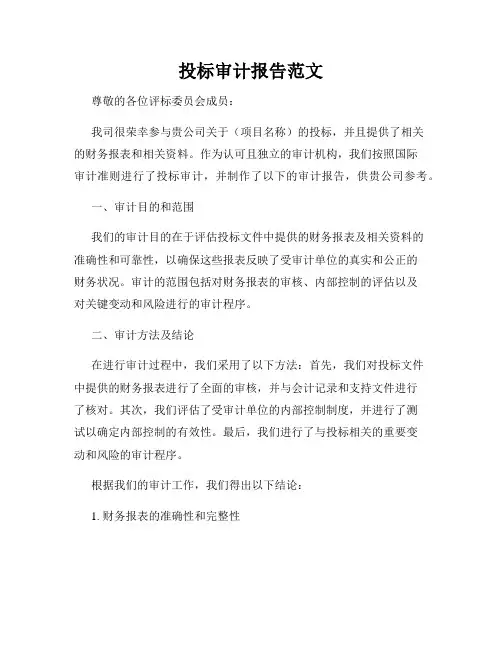 投标审计报告范文