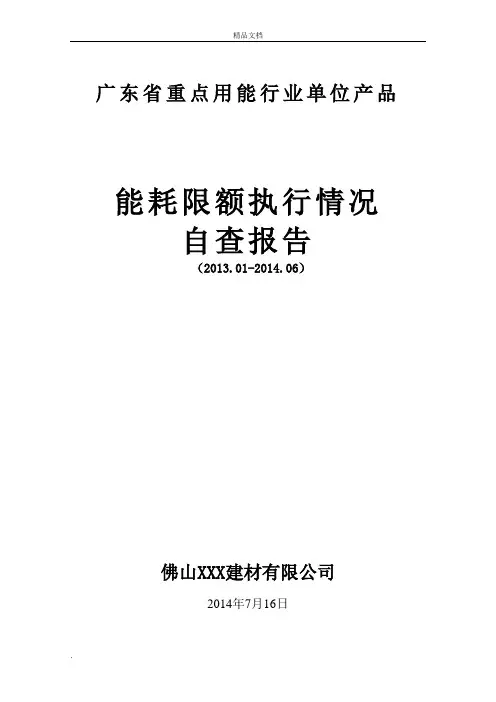 能源自查报告