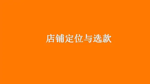 1店铺定位与选款