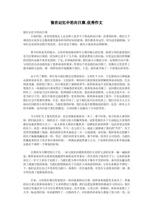留在记忆中的向日葵_优秀作文