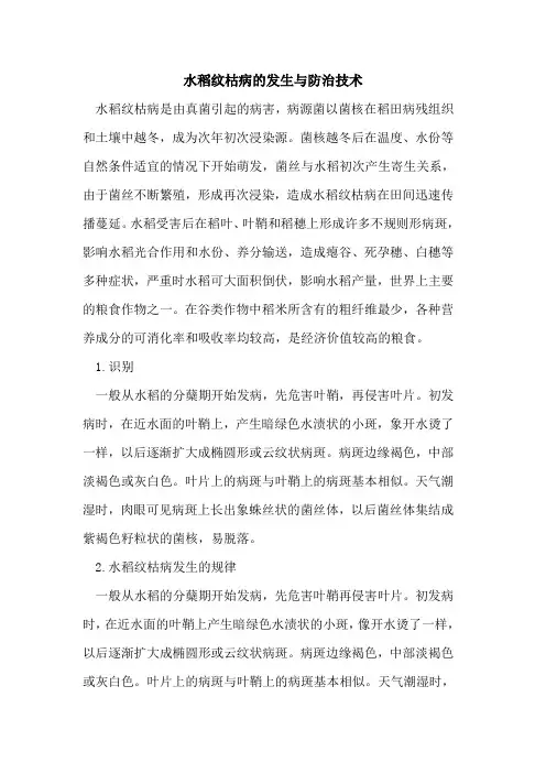 水稻纹枯病发生与防治技术
