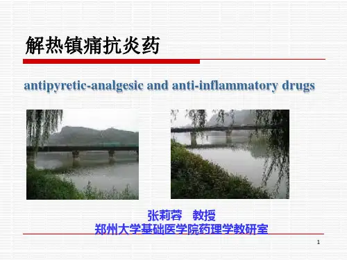 13解热镇痛抗炎药