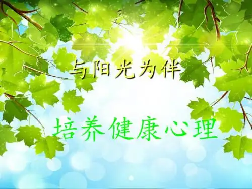 与阳光为伴