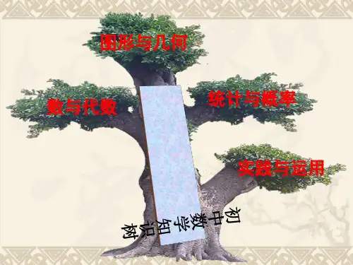 初中数学知识树 PPT 课件