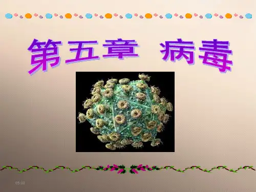 人教版八年级上册 生物 课件 5.5病毒 (共15张PPT)优秀课件