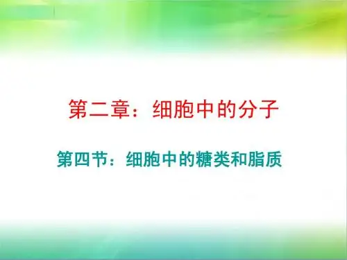 细胞中的糖类和脂质课件