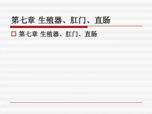 脊柱与四肢ok