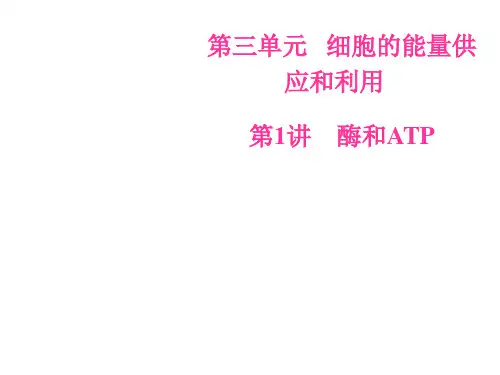 2019届一轮复习人教版  酶和ATP 课件