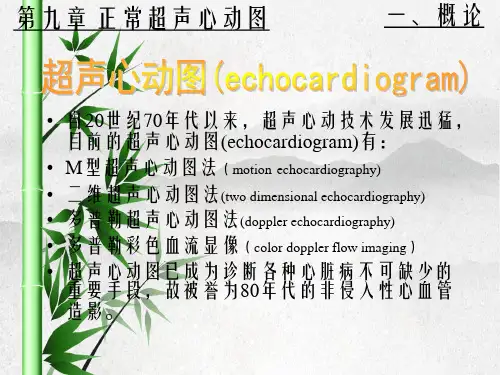 正常的心脏超声表现
