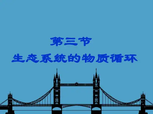 生态系统物质循环上课用模板