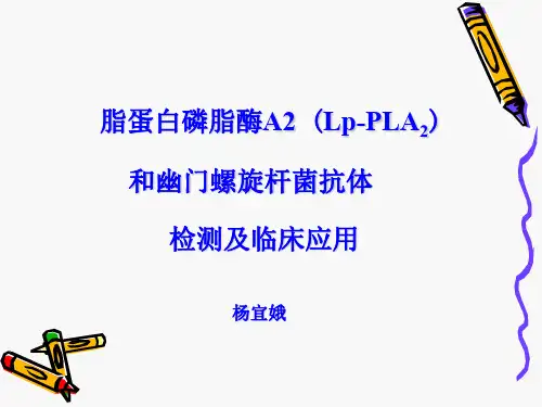 Lp-PLA2(人血浆脂蛋白相关磷脂酶A2)定量检测
